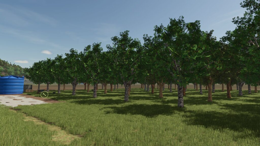 Fruit orchards V Beta