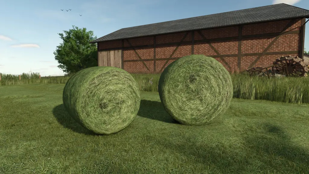Gras/Heu Schwad Texture