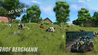 Autodrive Hof Bergmann