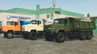 Lizard 65032