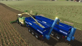 Lizard Auger Master