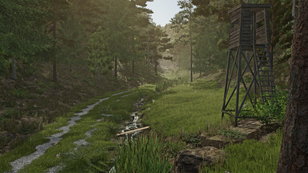 Palatinate Forest