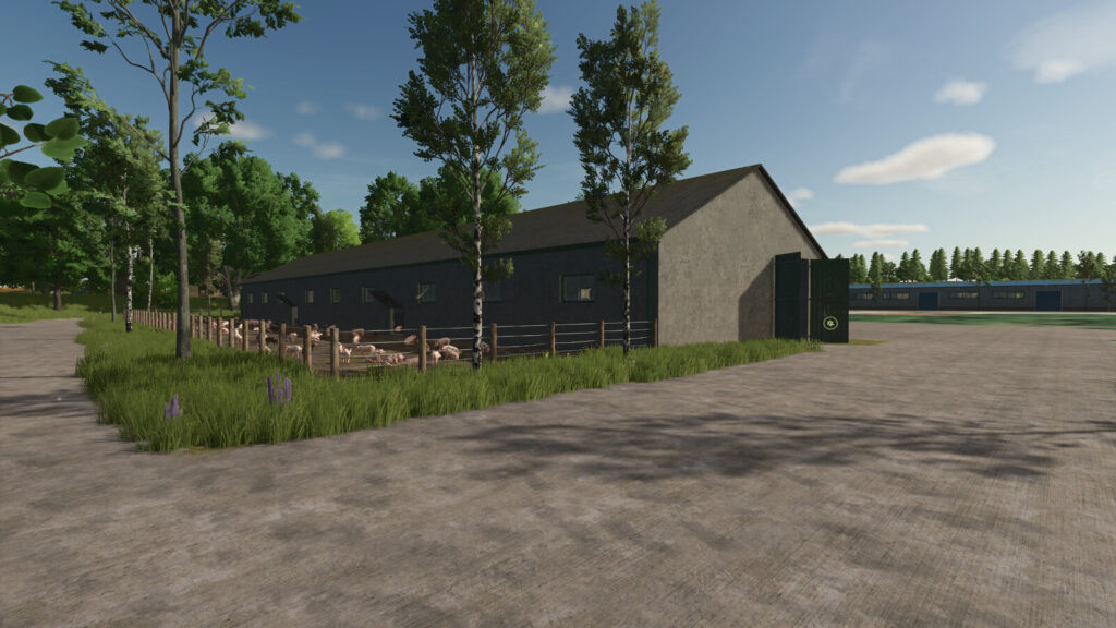 Pig Barn Medium