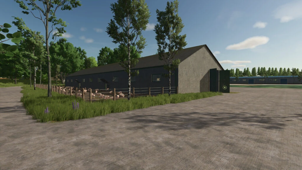 Pig Barn Medium