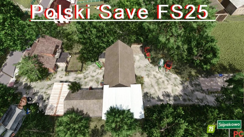 Polski Save