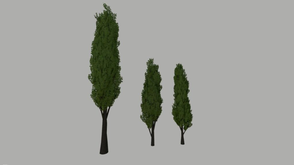 Poplar Trees Pack (Prefab)