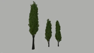 Poplar Trees Pack (Prefab)