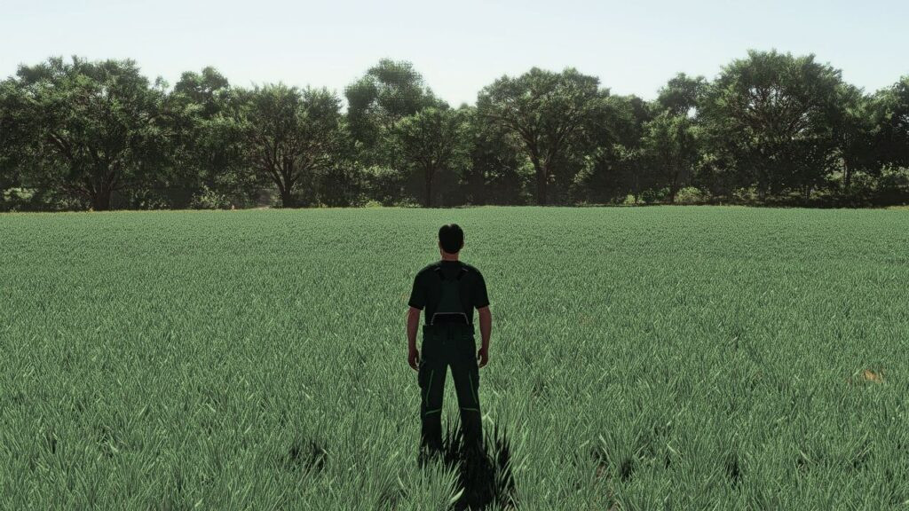 Realistic Oat Growth Cycle in Europe