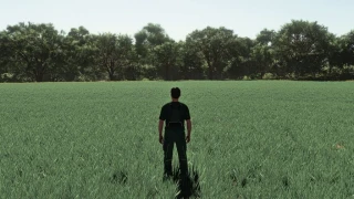 Realistic Oat Growth Cycle in Europe