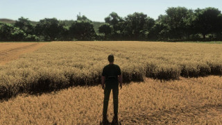 Realistic Wheat & Barley – Europe Growth Cycle