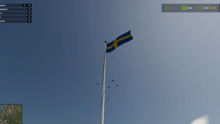 Swedish Flag