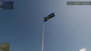 Swedish Flag