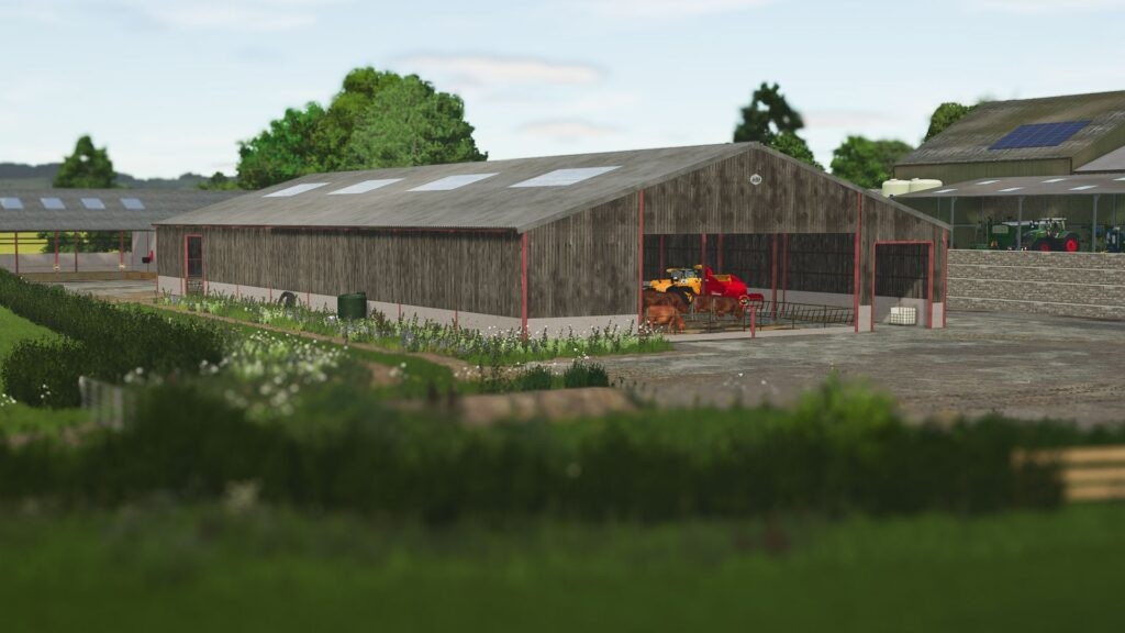 UK Large Beef Shed