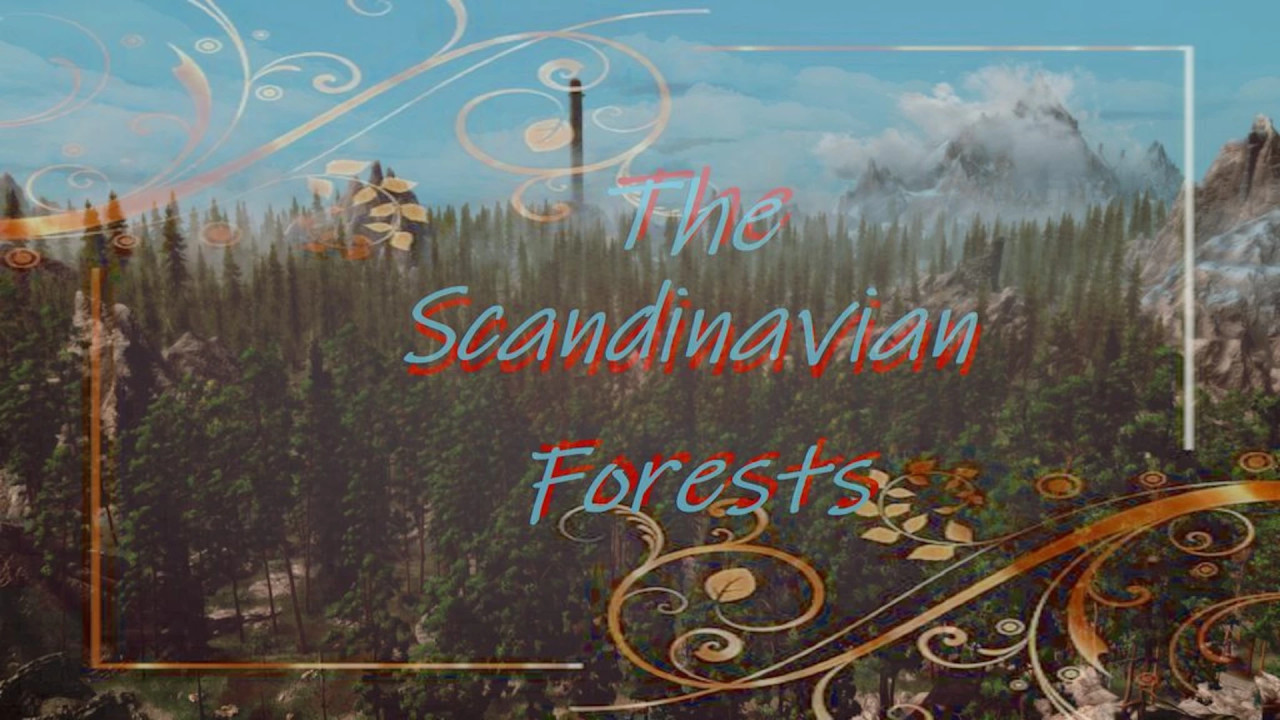 SCANDINAVIAN FOREST