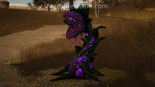 Halloween Monster Plant