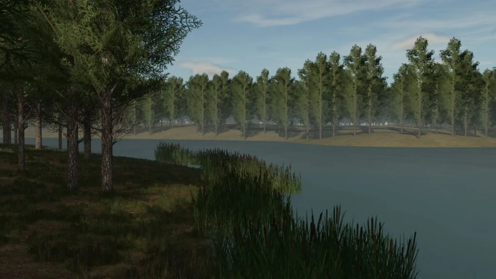 Staby Forest