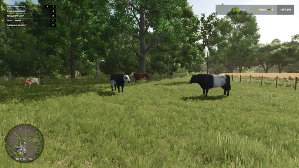 Animal pack – More Cattle Breeds Edition