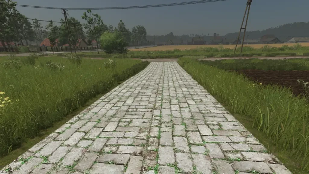 Asphalt and Paved Roads