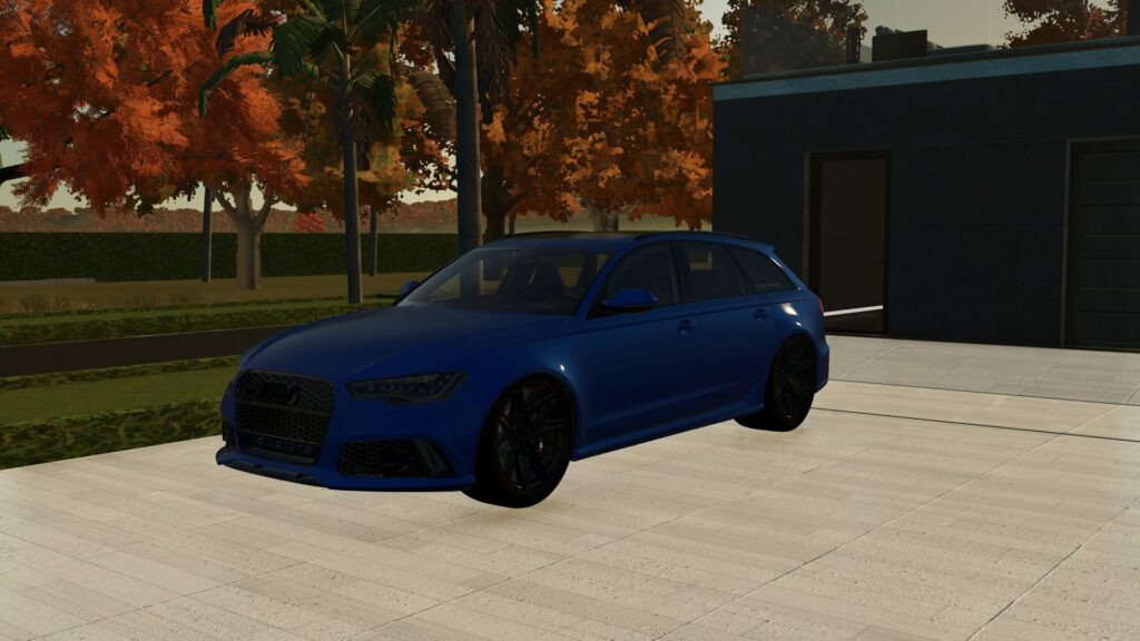 Audi RS6 Avant 2015