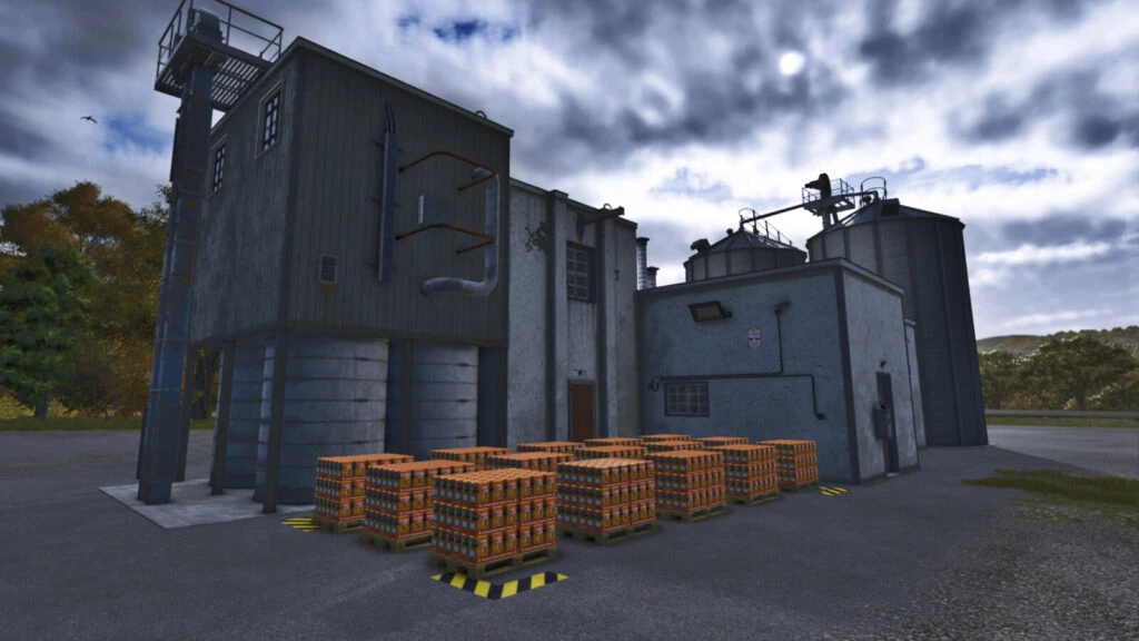 Grain Flake And Porridge Production