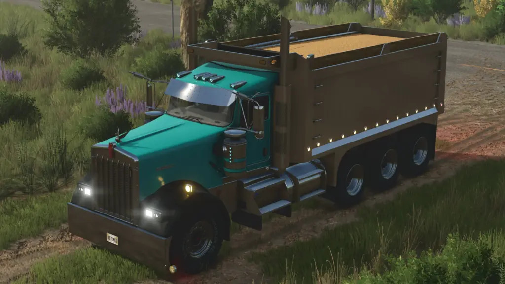 Kenworth W900 Dumper