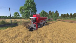 MF Beta 7260 (2004-2011)