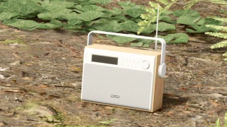 Portable Radios