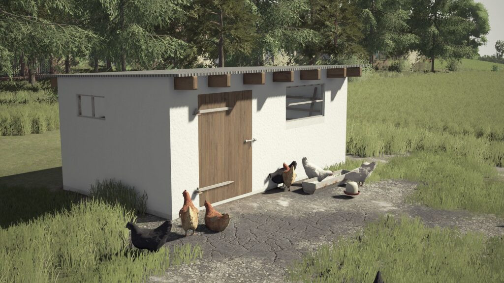 Small Renovated Chicken Coop